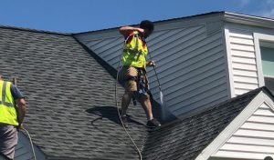 Professional Roof Cleaners