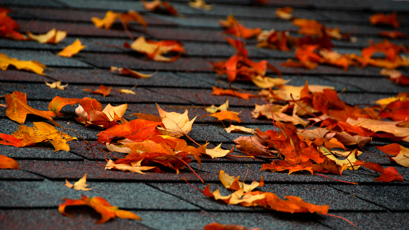 Problems That Can Affect The Performance Of Your Roof This Fall