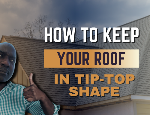 How To Keep Your Roof In Tip-top Shape