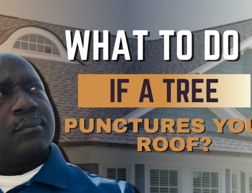 What to Do if a Tree or Branch Falls and Punctures Your Roof
